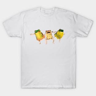 Frog dance T-Shirt